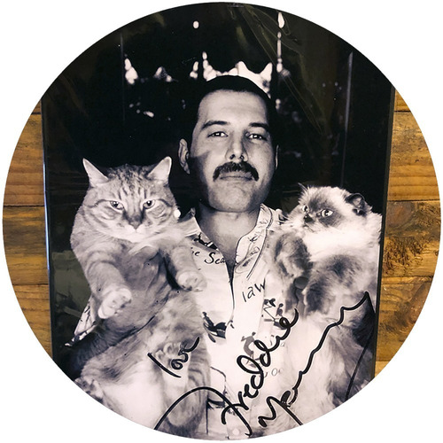 Cuadro Poster Fredy Mercury Cats, Queen.