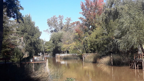 Imagen 10 de 10 de Alquiler De Casa En El Delta, Tigre.