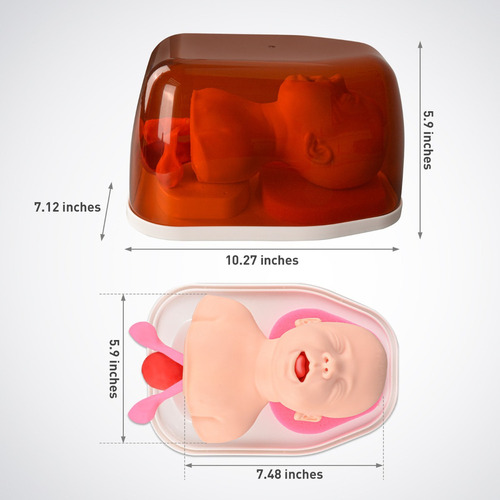 Manequim De Intubação Pediátrica Para Instrutor Intubaci