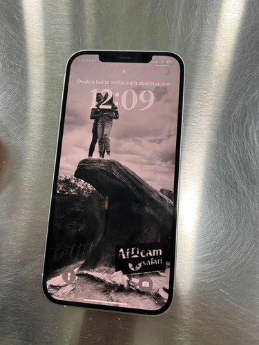 iPhone 12 Pro Max (Usado)