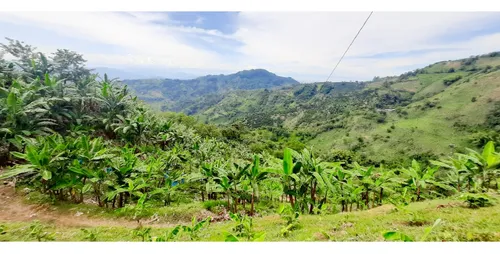 Venta Finca - Vereda Coco Hondo - Balboa
