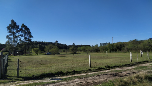 Terreno En Federación (entre Ríos)
