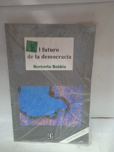 El Futuro De La Democracia