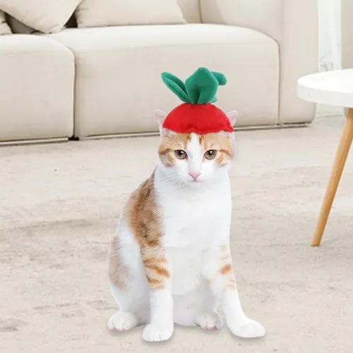 Perro Gato Sombrero Sombrero Traje Sombrero Hojas De Fresa