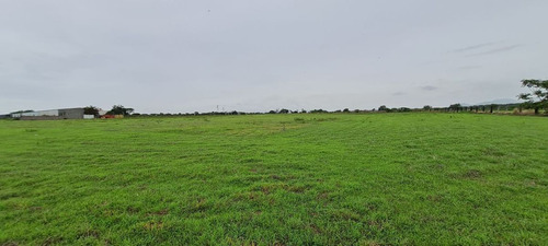 Aeródromo En Venta En Tequesquitengo, Morelos.