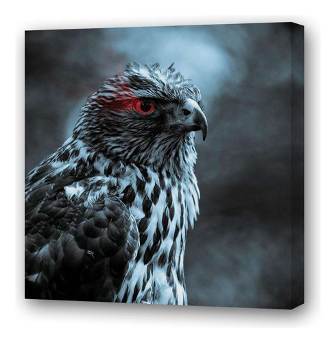 Cuadro 60x60cm Aves Blanco Y Negro Ojo Rojo Espectacular