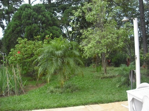 Rural - Venda - Santa Gertrudes - Cod. 81 - V81