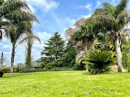 Permuto Chacra, 6 Has Parquizadasx Casa O Dpto En Pinamar , Antiguamente Siendo Un Haras, Se Fue Transformando En Casa Principal , Km 305 De La Ruta Nacional N*5 Carlos Casares-ba