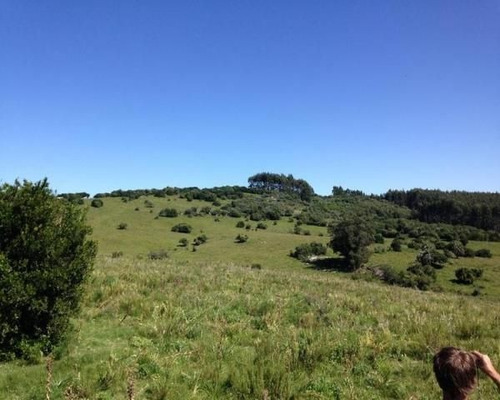 Imagen 8 de 15 de Quinta En Venta En Garzon