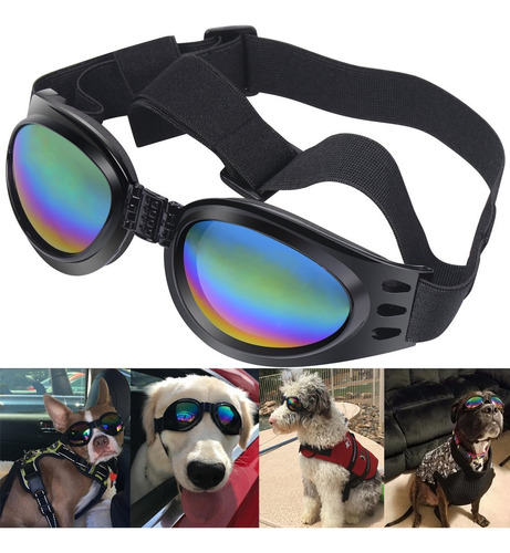 Qumy Dog Goggles Eye Wear Protection Gafas De Sol A Prueba D