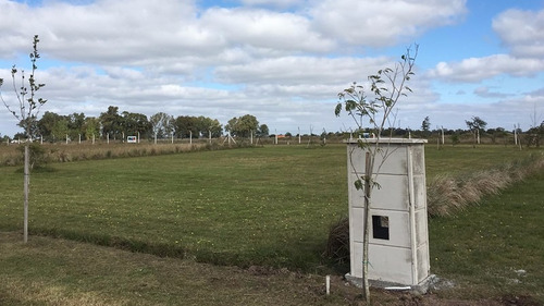 Lote En Campos De Enriqueta, La Plata- Brandsen