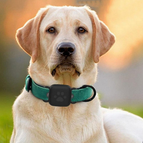 Funda De Silicona For Mascotas Fortile Mate Tracker, 3 Unid