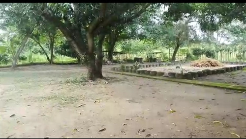 Imagen 3 de 8 de Finca De 13.5 Has En Barinas En Venta
