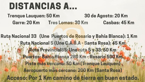 Imagen 3 de 12 de Campo De 50 Has En Venta En Distrito De #trenquelauquen