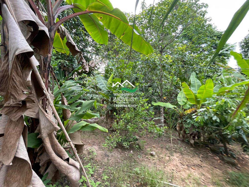 Imagem 8 de 30 de Chácara Com 4 Dorms, Area Urbana, Pedro De Toledo - R$ 239 Mil, Cod: 583 - V583
