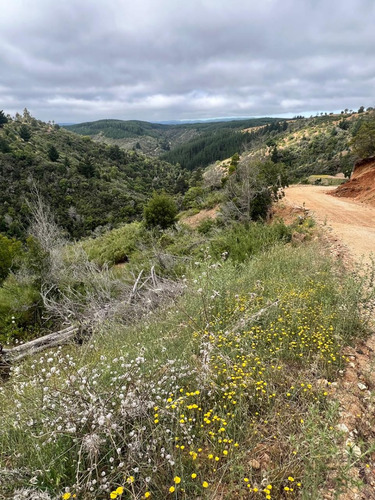 Hermoso Terreno En Loteo Vista Cuarzo , Pichilemu
