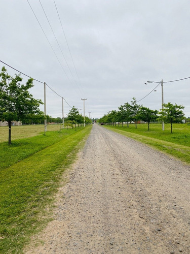 Venta Lotes En Ibarlucea - Barrio Cerrado Las Casuarinas - Entrega Inmediata