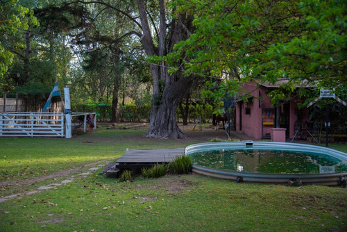 Imagen 8 de 30 de Quinta En Venta - La Reja