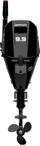 Motor De Popa Mercury 9.9hp 4t