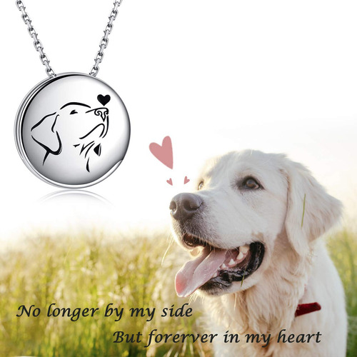 Joyeria De Urna Para Cenizas, Recuerdo Conmemorativo Plata