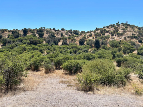 Terreno 2 Hectáreas, Camino Las Tinajas, Melipilla