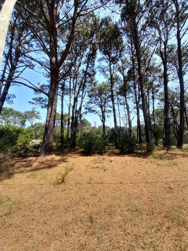 Imagen 8 de 16 de Venta De Lote En Barra Verde, La Barra, Uruguay - La Barra Barra Verde