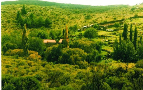 Imagen 7 de 22 de Traslasierra - Estancia Aguas Del Tala - Pueblo Ambul - Pampas Del Pocho - 383has Cercadas A La Venta En Una Zona De Crecimiento Constante - Mina Clavero - Cordoba