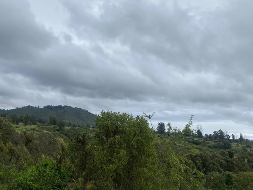 Vendo Hermosa Parcela Fuerte Aguayo Concón