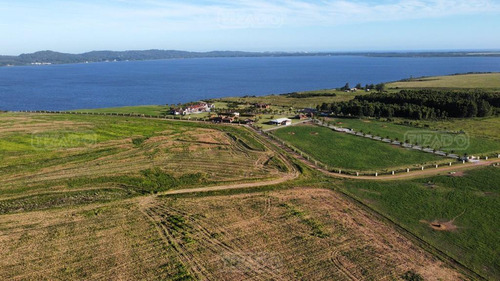 Venta Chacra Lote Terreno Chacras De La Laguna Campo Laguna Del Sauce Punta Del Este Maldonado