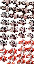 Comprar Llaveros En Fieltro  Animales Bosque