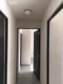 Imagen 6 de 16 de Departamento En Renta En Parques Guadalajara, Parques Gonzalo Gallo, Guadalajara Jalisco
