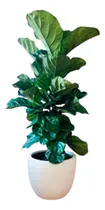 Comprar Orquideas Decorativas Artificiales Planta