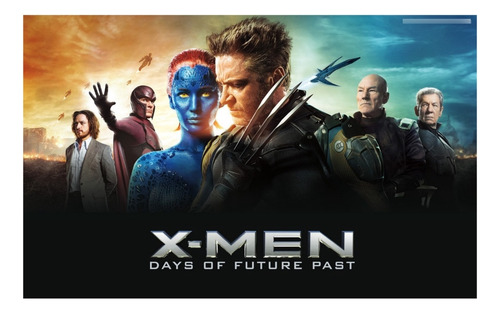 Póster X-men Days Of Future Past Marvel Charles Magneto Cine