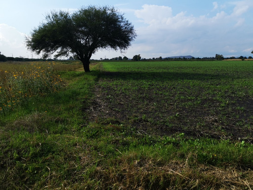 Remate De Fabuloso Lote Para Agricultura, Invernaderos, Rancho O Casas De Descanso. Luz, Agua Y Aire Puro A Tu Disposición.