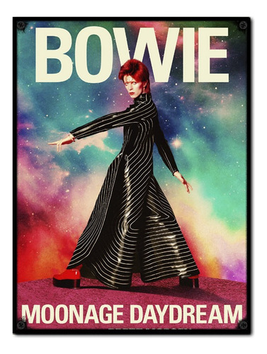 #1458 - Cuadro Vintage 30 X 40 - David Bowie Poster Música 