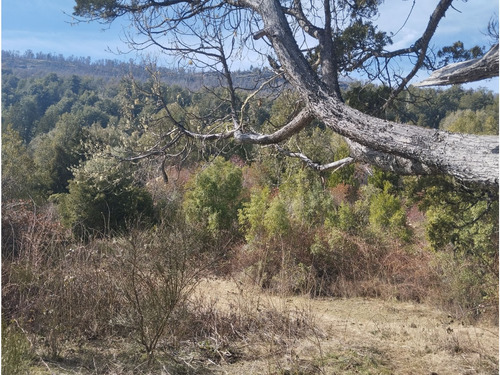 (051) El Bolson, Terreno De 1/2 Ha Frente A Camino Con Costa De Rio Azul