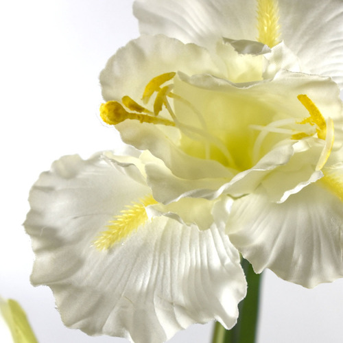 Vara De Iris Flores Artificiales Finas Decoración Paq 3 Pz Color Blanco