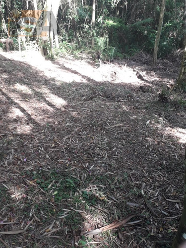 Imagem 8 de 8 de Chácara Em Biritiba Ussu - Mogi Das Cruzes, Sp - 3602