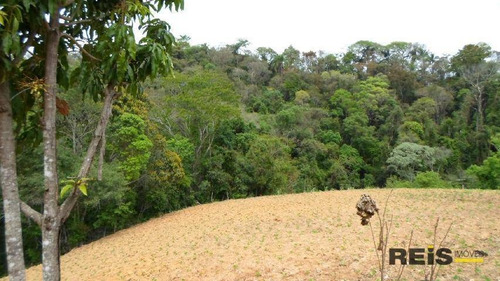 Imagem 23 de 30 de Sítio À Venda, 10000 M² Por R$ 250.000,00 - Piedade - Piedade/sp - Si0017