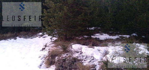 Imagen 12 de 14 de En Venta Terreno 2000m2/ Bº Ruca Hue / San Martin De Los Andes / Neuquén