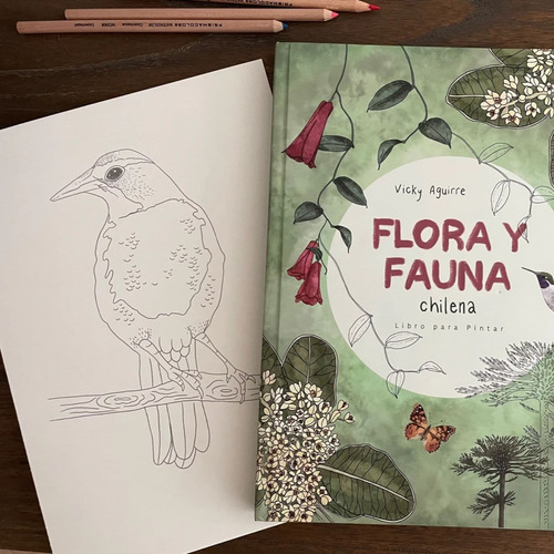 Libro Para Colorear: Fauna Y Flora - Vicky Aguirre/tapa Dura