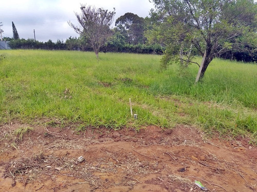 Imagem 13 de 14 de *** Lançamento Em Mairinque***