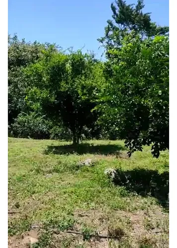 Venta Finca De 4000mts2, En Dagua, Valle Del Cauca 12099.