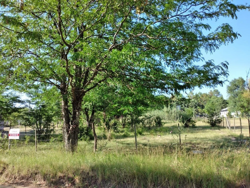 Imagen 2 de 3 de Hermoso Terreno 935m2 A Metros Del Río