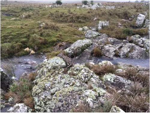 Campo En Venta