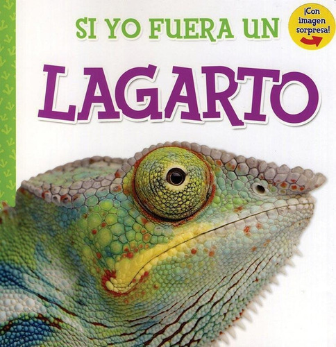 Si Yo Fuera Un Lagarto, De Vv. Aa.. Editorial Kidsbooks En Español