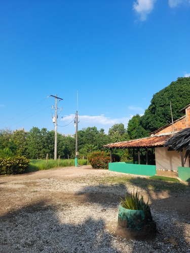 Imagen 2 de 6 de Casa Finca Con Piscina, Lago Y Pozo