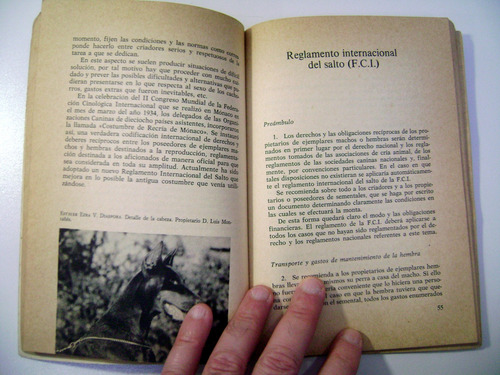 El Perro Doberman Cria Adiestramiento Libro Bucholz Boedo (Usado)