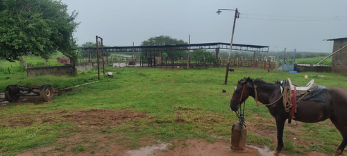 En Venta Finca En Aragua De Barcelona Estado Anzoategui