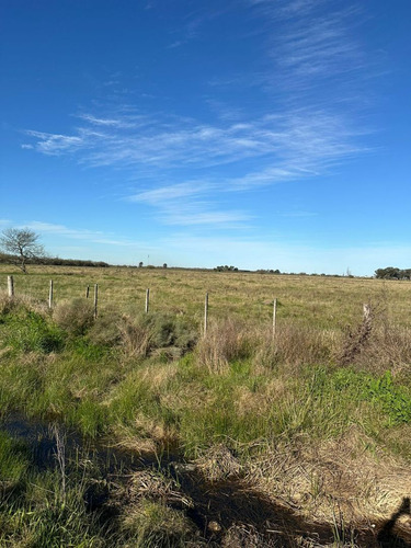 Venta De Lote En City Bell, La Plata
